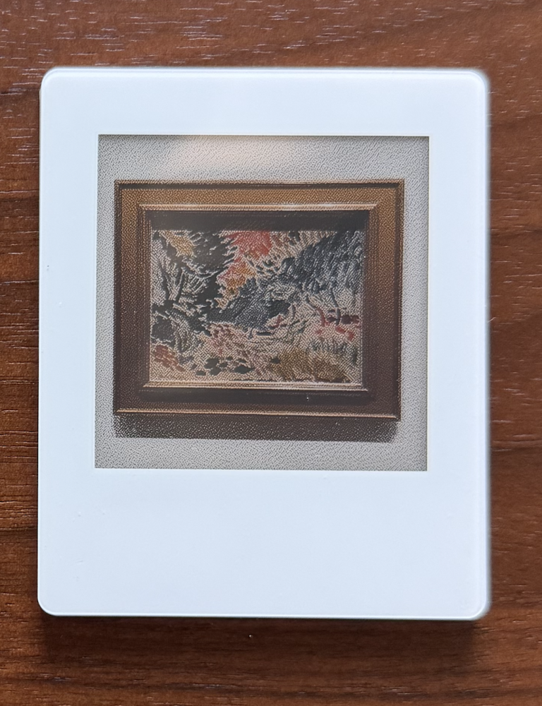 vidabay-4